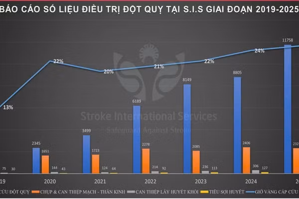 Báo cáo số liệu điều trị đột quỵ tại S. I. S giai đoạn 2019-2025