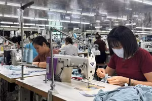 Trong kế hoạch nâng cao chỉ số năng lực cạnh tranh của thành phố, Hải Phòng sẽ tập trung hỗ trợ thực chất, hiệu quả doanh nghiệp nhỏ, siêu nhỏ và hộ kinh doanh.