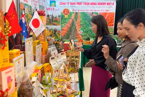 Thành phố Hải Phòng quan tâm hỗ trợ phụ nữ khởi nghiệp, góp phần phát triển kinh tế-xã hội thành phố trong kỷ nguyên mới. (Ảnh minh họa)