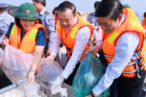 Các đại biểu thả con giống tái tạo nguồn lợi thủy sản năm 2026 tại vùng biển Cát Bà.