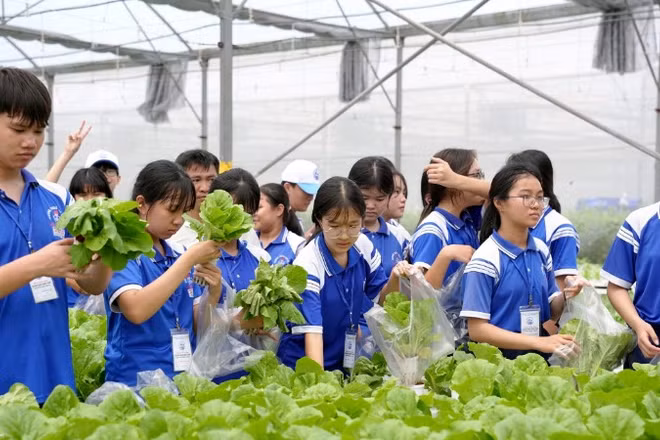 Học sinh tham quan mô hình trồng rau công nghệ cao. 
