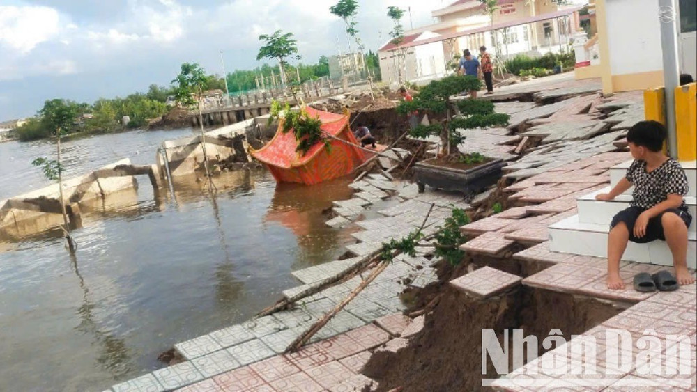 Một góc phần sân khu di tích bị sạt lở xuống sông. sat-lo-3-5478.jpg