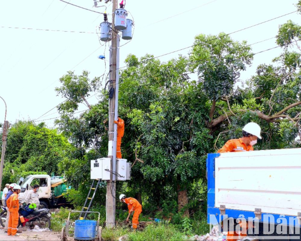 Điện lực Cà Mau tiến hành đấu nối đường điện phục phụ vận hành hệ thống máy bơm nước tại 2 ao chứa rác dự phòng. bai-rac-5-4574.jpg