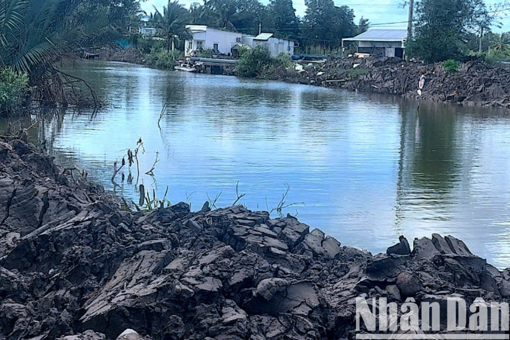 Nhiều công trình nạo vét thủy lợi thuộc nhóm ưu tiên 1 và 2 do Phòng Nông nghiệp và Môi trường huyện Phú Tân làm chủ đầu tư đã cho thi công trước dù chưa được phê duyệt kế hoạch lựa chọn nhà thầu từ Ủy ban nhân dân huyện. anh-11-5727.jpg