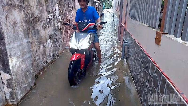 Nước ngập len lỏi vào tận các ngõ hẻm phường Bạc Liêu, tỉnh Cà Mau, gây xáo trộn cuộc sống của người dân.