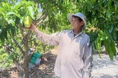 Ông Nhàn giới thiệu thành quả trồng trọt của mình.