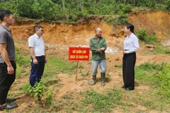 Cán bộ ngành nông nghiệp tuyên truyền, hướng dẫn người dân phường Bình Khê tiêu huỷ lợn dịch đúng quy định.