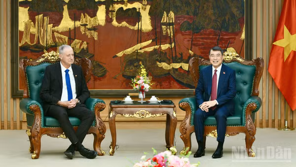 Thủ tướng Chính phủ Lê Minh Hưng tiếp Đại sứ Israel tại Việt Nam Yaron Mayer. (Ảnh: THANH GIANG)