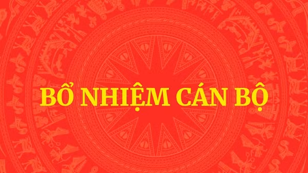 Bổ nhiệm Trợ lý Thủ tướng, Phó Thủ tướng Thường trực Chính phủ