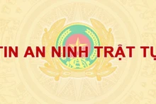 Ảnh minh họa.