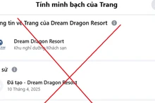 Hình ảnh page giả, mạo danh Dream Dragon Resort.