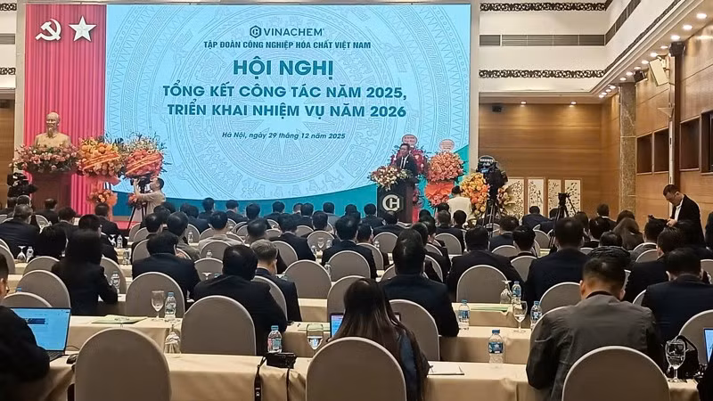 Các đại biểu tham luận tại hội nghị.