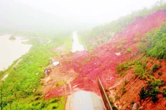 Bắc Trung Bộ thích ứng biến đổi khí hậu 