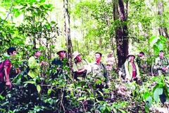 Các hộ nhận khoán và lực lượng chuyên trách tuần tra, bảo vệ rừng.