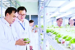 Nhiều giống cây trồng, vật nuôi được nghiên cứu tại Khu Nông nghiệp công nghệ cao thành phố và phát triển trong thực tiễn với năng suất, chất lượng vượt trội.