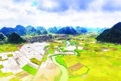 1. Từ cao nhìn xuống, thung lũng pha trộn giữa màu vàng của lúa, màu xanh của núi rừng, màu nâu của đất mới và màu lam nhạt của sương sớm.