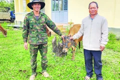 Người dân xã Ia Phí vui vẻ nhận bò giống sinh sản từ Chương trình mục tiêu quốc gia về giảm nghèo bền vững, hỗ trợ người dân vươn lên thoát nghèo.