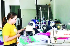 Chị Hoàng Thị Mai, thôn Nà Mộ, xã Hùng Lợi được hỗ trợ một chiếc máy may theo Dự án phát triển giáo dục nghề nghiệp và giải quyết việc làm cho người lao động vùng dân tộc thiểu số và miền núi.
