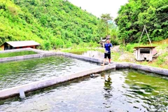 Nghề nuôi cá nước lạnh mang lại thu nhập cao cho người dân.
