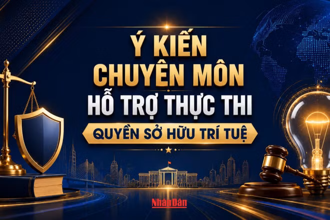 [Infographic] Ý kiến chuyên môn hỗ trợ thực thi quyền sở hữu trí tuệ