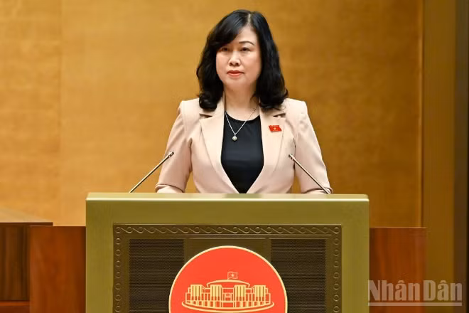 Bộ trưởng Y tế Đào Hồng Lan trình bày tóm tắt tờ trình. (Ảnh: DUY LINH)