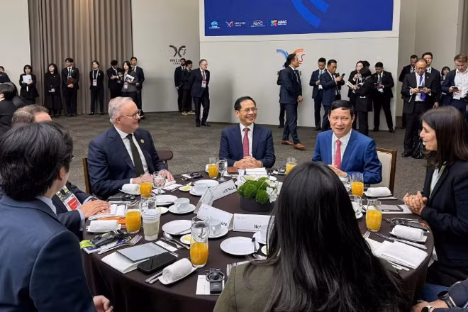 Phó Thủ tướng Chính phủ Bùi Thanh Sơn tham dự Đối thoại giữa các nhà lãnh đạo APEC với Hội đồng Tư vấn kinh doanh APEC. (Ảnh: Bộ Ngoại giao)