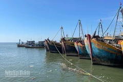 Hơn 2.100 tàu cá hết hạn đăng kiểm và giấy phép đã có đơn vị cấp phép.