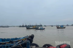 Nhiều tàu cá vào cảng cá La Gi.