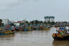 Tàu cá neo đậu trên sông Cà Ty tránh bão.