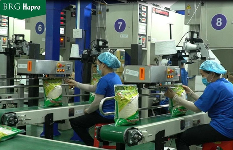 Hapro chủ động tạo nguồn hàng cho hoạt động xuất khẩu nhiều năm qua.