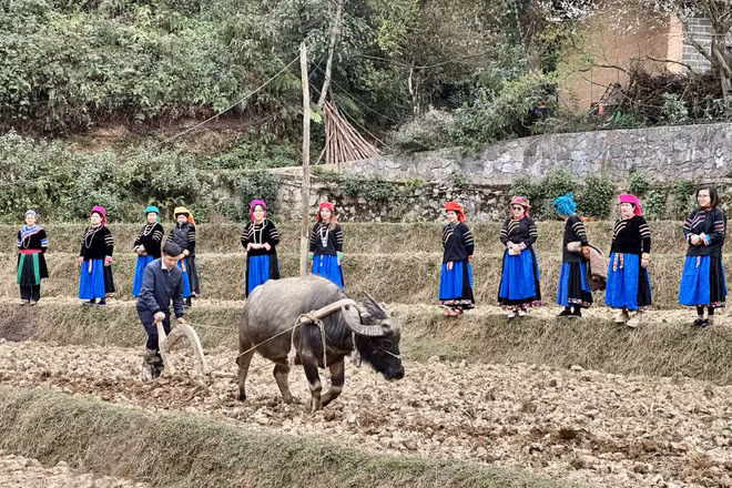 Sau nghi lễ Pặt Oong, người dân tộc Pu Péo, thôn Chúng Trải, xã Phố Bảng bước vào vụ gieo trồng mới.