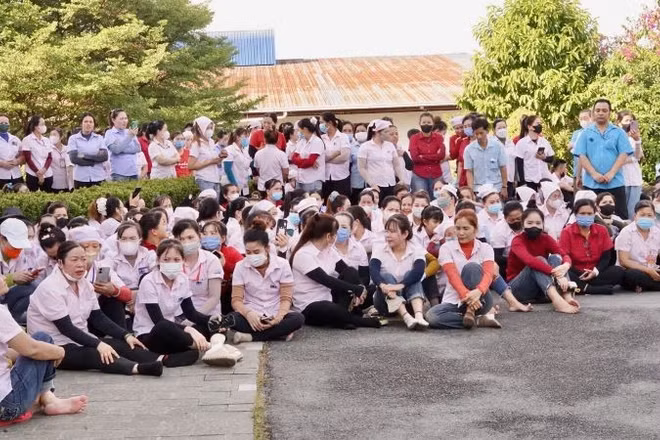 Công nhân lao động tại Công ty TNHH Panko Vina.