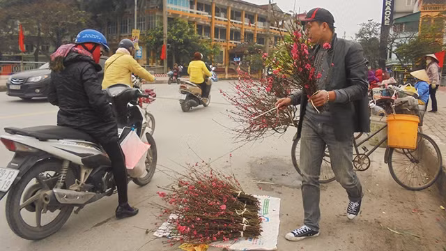 Bán hoa đào nhỏ ở khu vực cầu Đen - Hà Đông - Hà Nội.