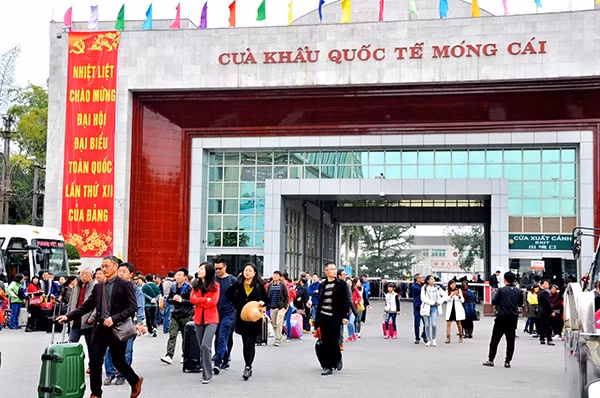 Quảng Ninh: Thêm một Công ty lữ hành bị tước giấy phép