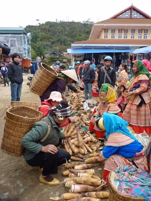 Hương sắc ba miền 