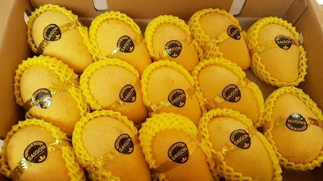 Sau 10 năm đàm phán, xoài Việt đã chinh phục thị trường Mỹ.
