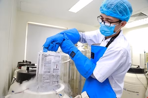 Tế bào gốc máu dây rốn được lưu trữ tại Viện Huyết học – Truyền máu Trung ương.