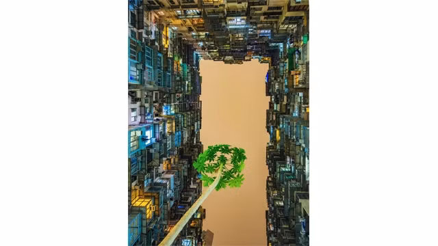 Tác phẩm Mầm sống của Trần Vũ Quang Duy.