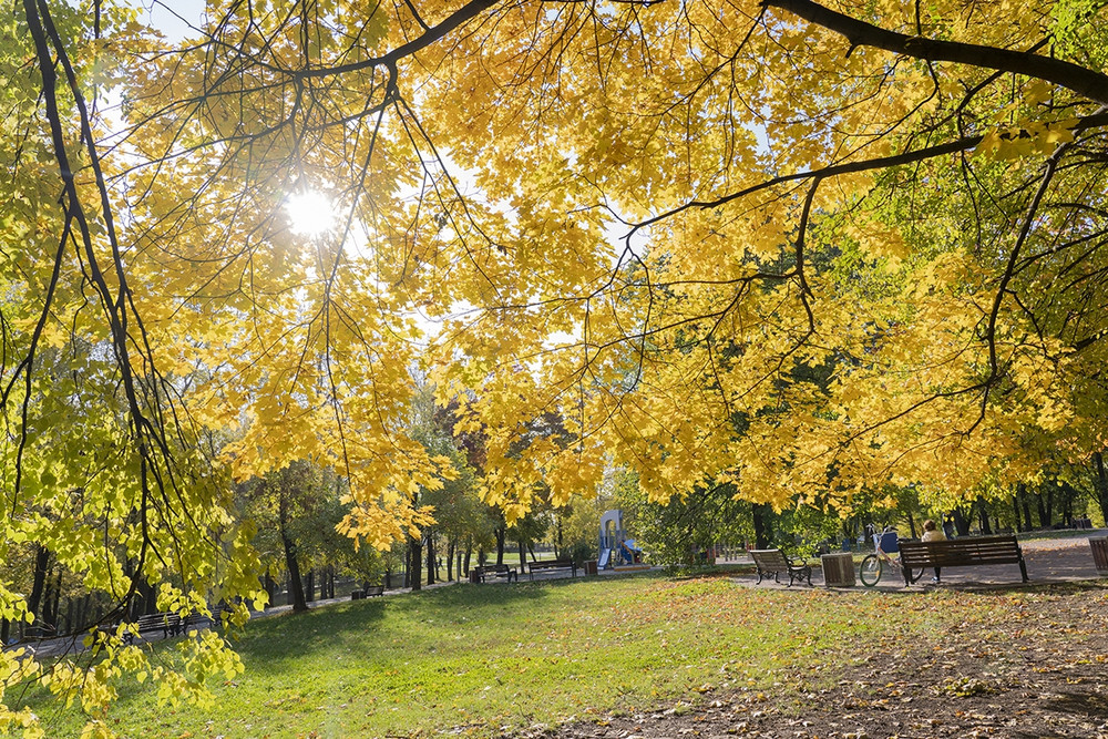 Sắc mầu "mùa thu vàng" ở Moscow