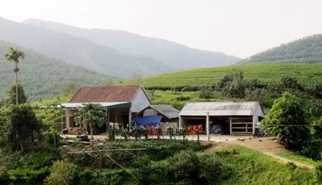 Khu vực vườn gia đình ông Dân.