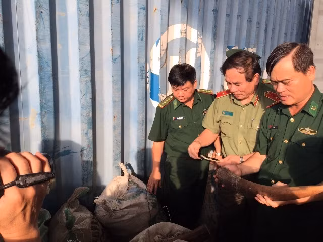 Lực lượng chức năng bắt giữ gần 10 tấn ngà voi, vẩy tê tê tại cảng Tiên Sa, chiều 4-10.
