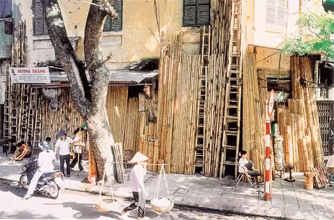 Phố Hàng Vải. Ảnh: LÊ THIẾT CƯƠNG