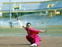 Đàm Thanh Xuân, HCV côn thuật.