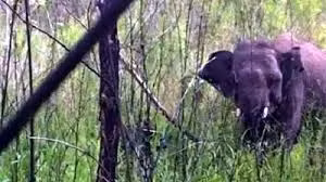 Ảnh có tính chất minh họa