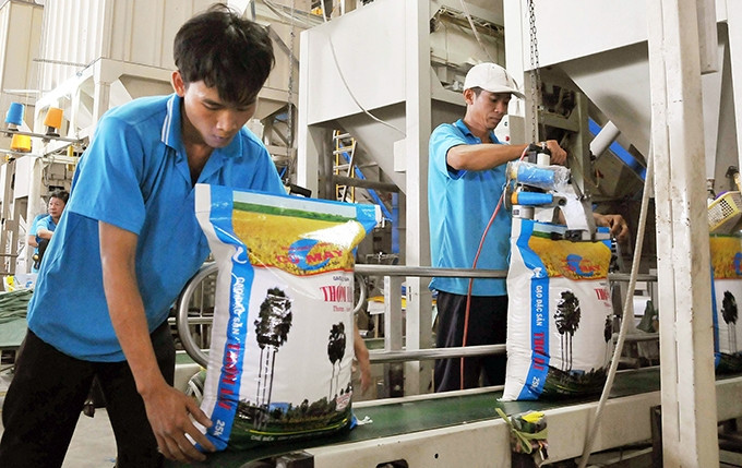 Dây chuyền đóng gói gạo đặc sản tại Doanh nghiệp tư nhân Cỏ May (tỉnh Ðồng Tháp). Ảnh: AN HIẾU (TTXVN)