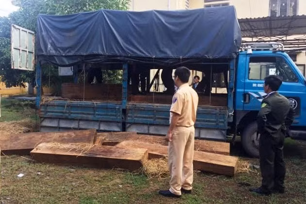 Số gỗ gõ đỏ quý hiếm được ngụy trang khá tinh vi trên xe tải bằng rơm rạ và hạt dẻ.