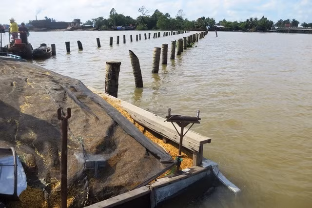 Chiếc ghe chở 26 tấn lúa vướng vào cọc ngầm dẫn đến chìm vào rạng sáng 12-10.