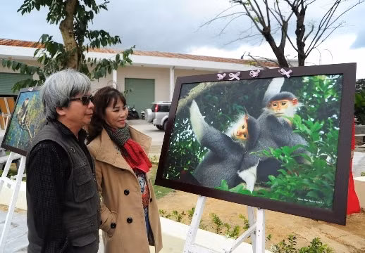 Triển lãm ảnh vọoc chà cá chân nâu của nhà báo Đặng Thu Thuỷ.