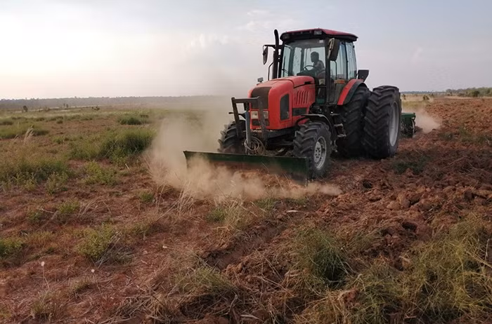 TTC Sugar đã tiến hành mở rộng diện tích trồng mía giống trên quy mô 150 hecta tại tỉnh Kratie, Campuchia.