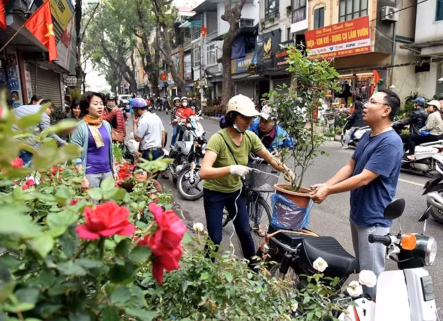  Hằng tháng, phiên chợ Bưởi họp vào ngày mùng 4, 9, 14, 19, 24, 29 âm lịch, nhưng chợ Bưởi dịp cuối năm bao giờ cũng là thời điểm đông vui, nhộn nhịp hơn cả.